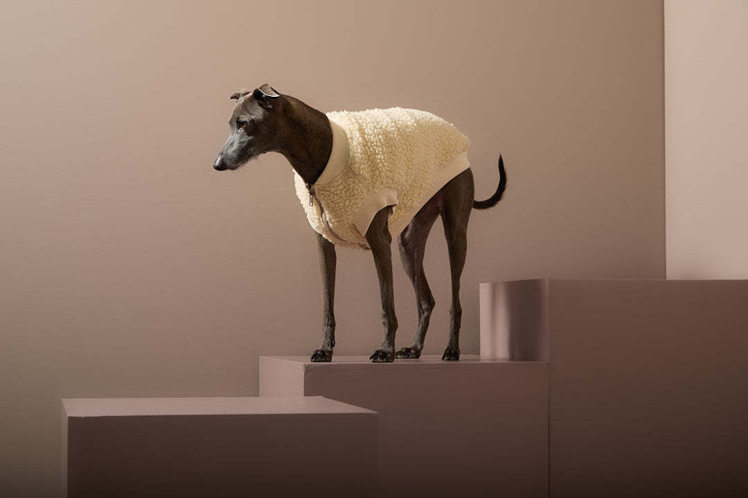 Chaleco en Sherpa Marfil Galgo Italiano / Whippet MILAN