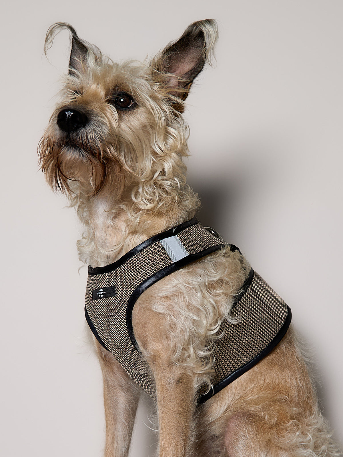 Arnes de Malla Tabaco COBBLESTONE para Perro Standard