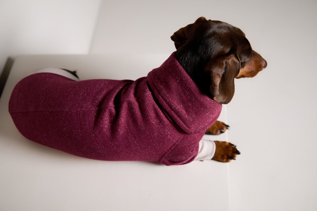 Sueter Cuello Alto Vinotinto DUSK para Perro Salchicha