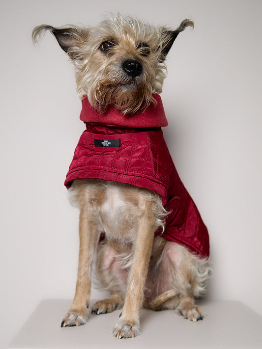 Chaqueta Acolchada Cuello Tortuga Vinotinto VELA para perro Standard