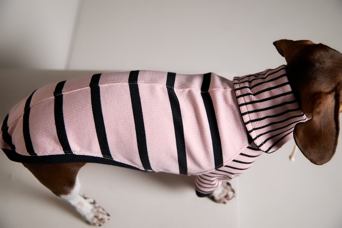 Sueter de Rayas Rosado y Negro LINE para Perro Salchicha