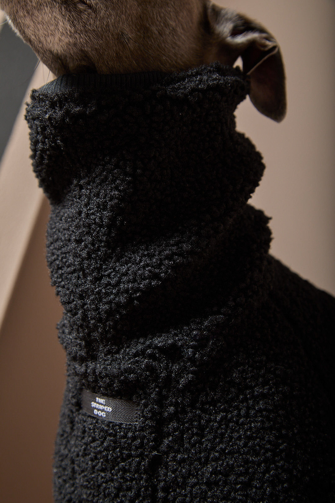 Enterizo Negro Cuello Tortuga Galgo Italiano / Whippet ROMA