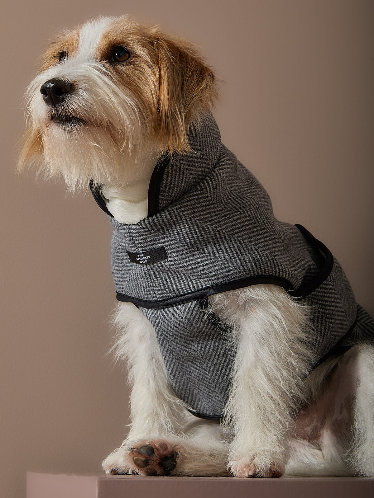 Chaqueta Gris en Espina de Pescado TWILL