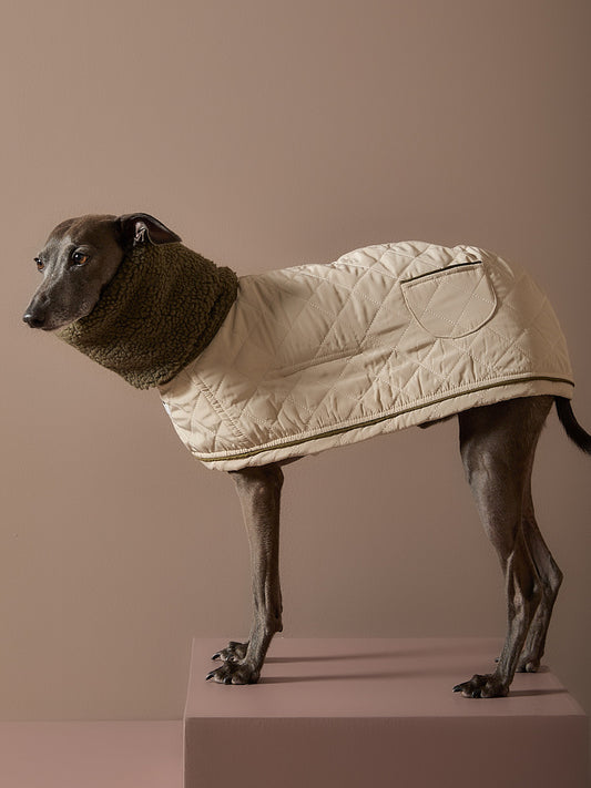 Capa Beige Galgo Italiano / Whippet FAWN