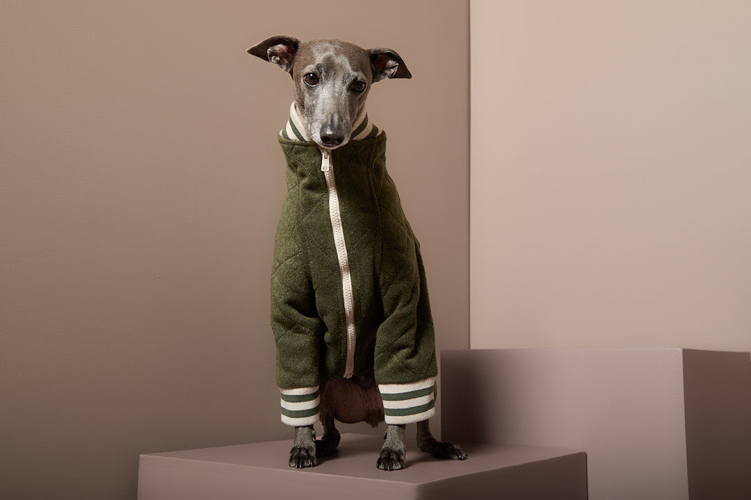 Chaqueta Bomber Verde Galgo Italiano / Whippet MOSS