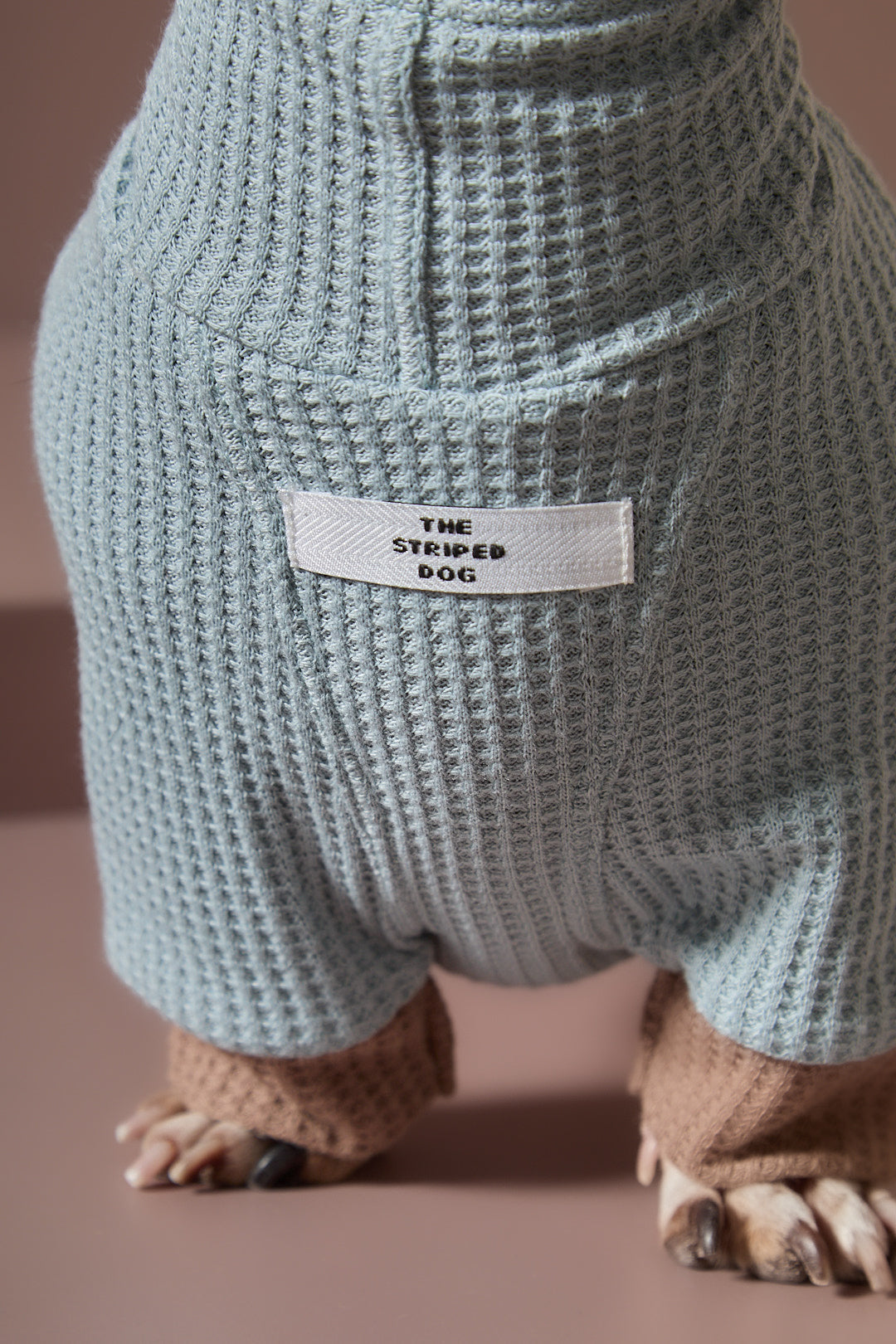 Sueter Waffle Azul GRAIN para perro Salchicha