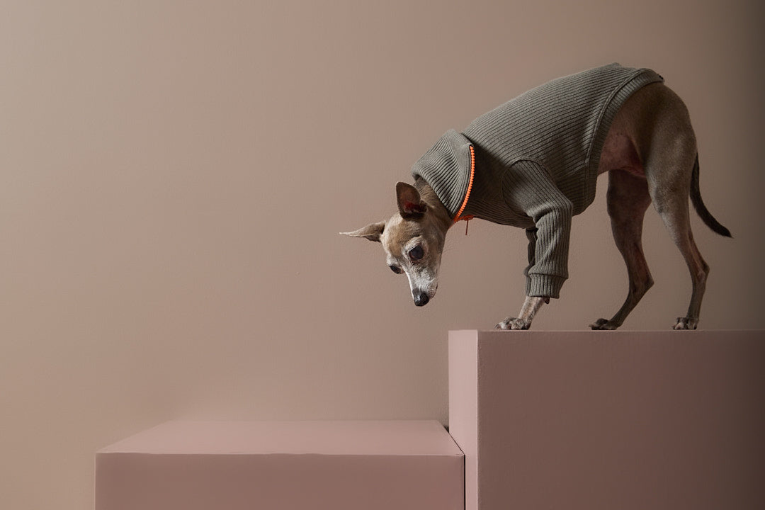 Sueter Verde Militar con Cierre Galgo Italiano / Whippet KNIT