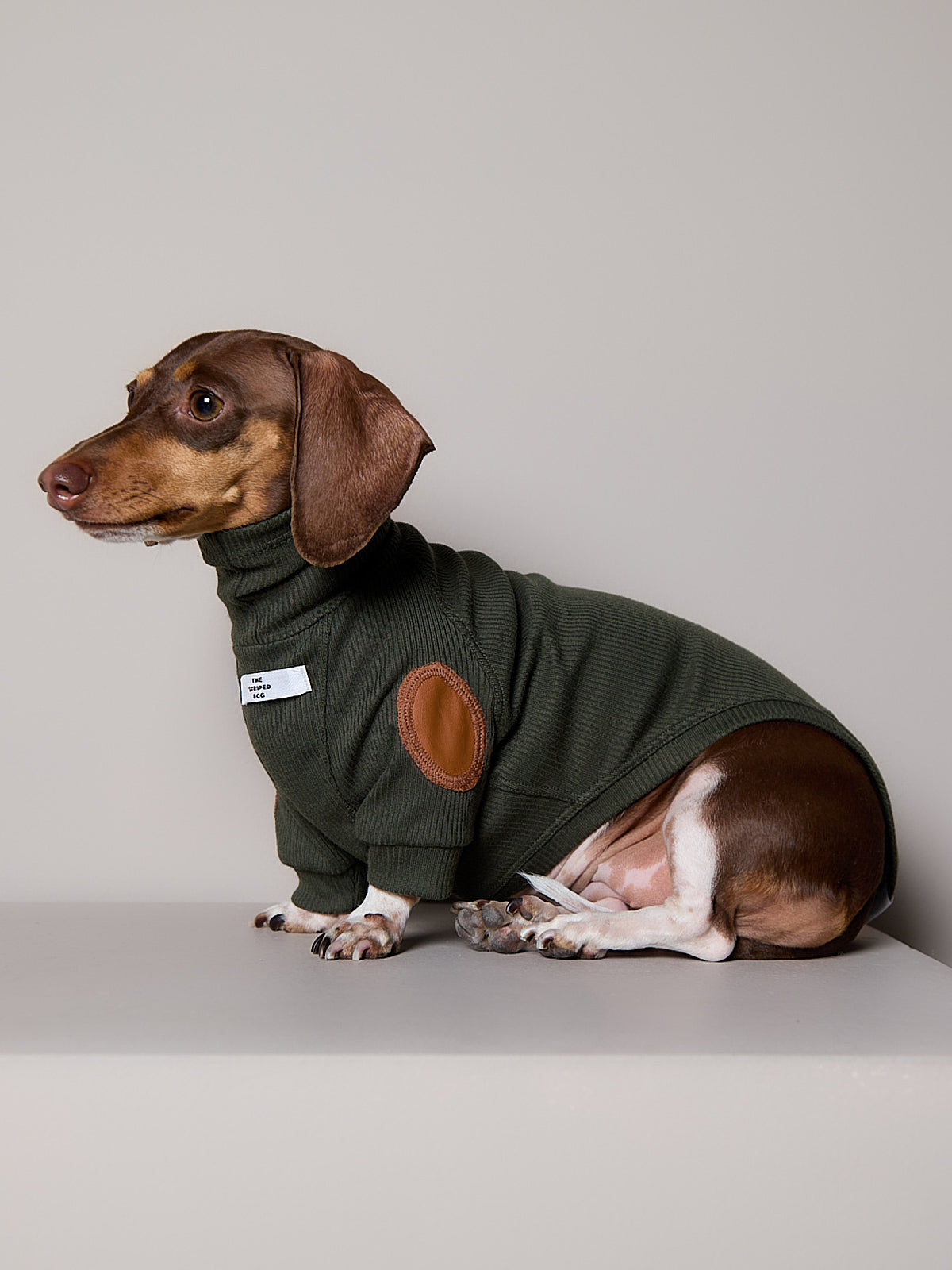 Sueter de Rib Cuello Tortuga Verde Oliva y Parches MIST para Perro Salchicha