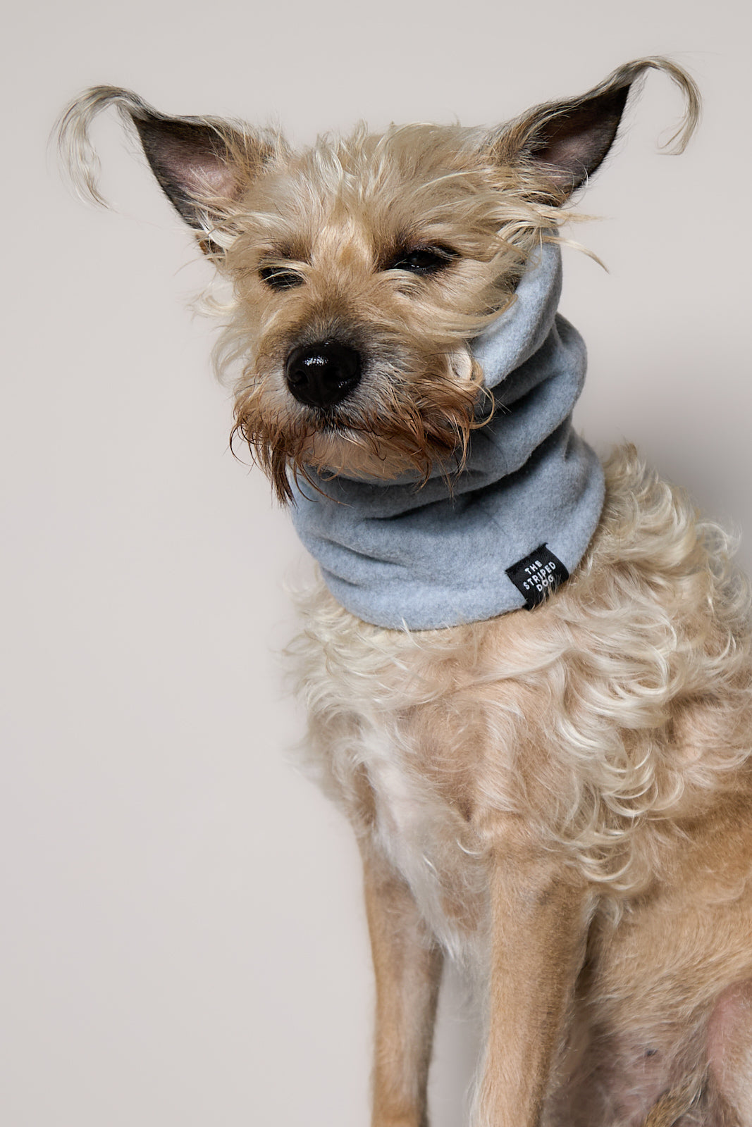 Cuello Gris Claro en Fleece CHILL