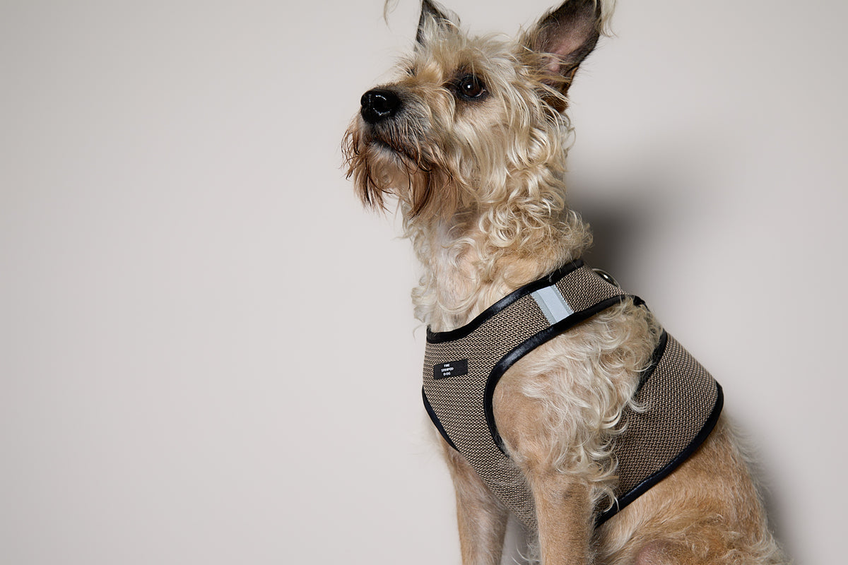 Arnes de Malla Tabaco COBBLESTONE para Perro Standard