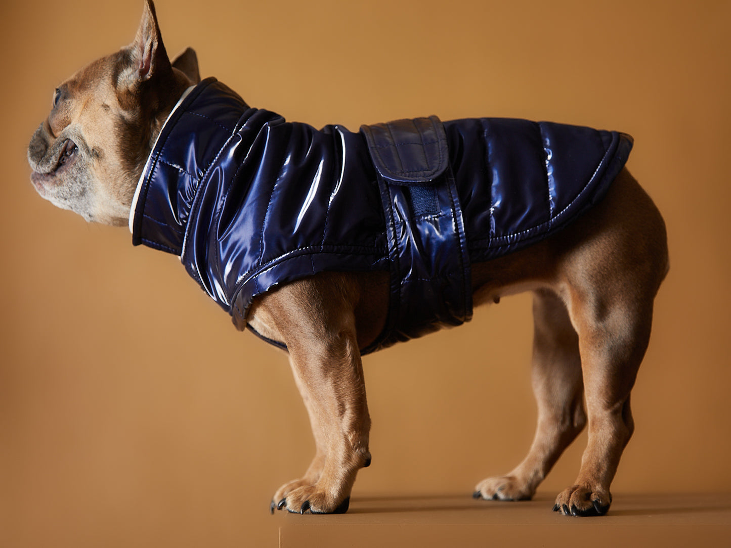 Chaqueta Azul Impermeable Cuello Tortuga RUE