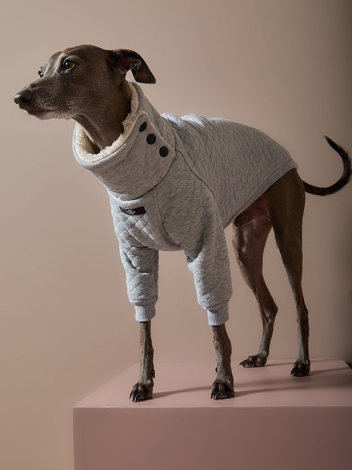 Sueter Gris Acolchado Galgo Italiano / Whippet OSLO