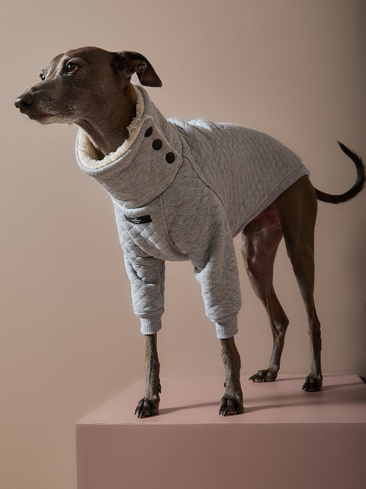 Sueter Gris Acolchado Galgo Italiano / Whippet OSLO