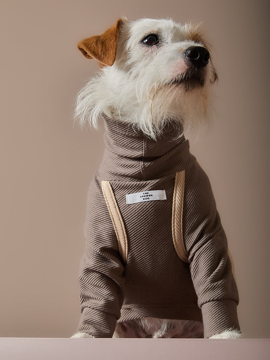 Sueter Taupe Cuello Tortuga CAIRO