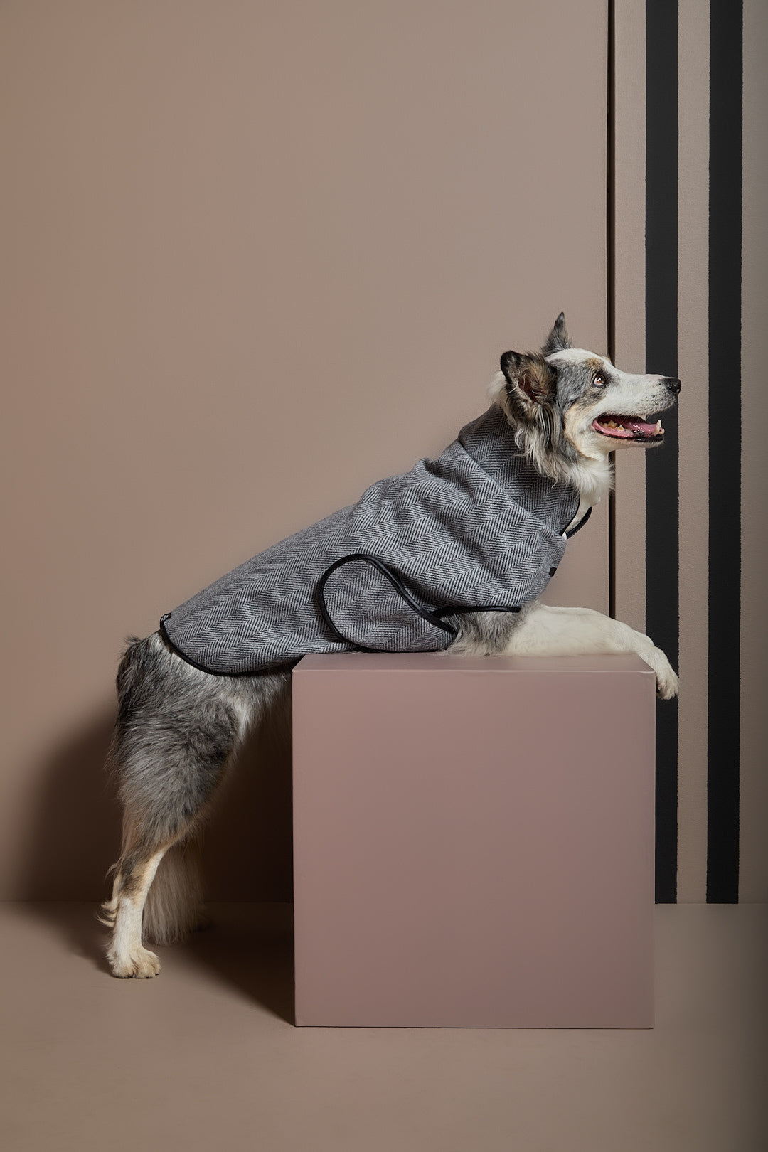 Chaqueta Gris en Espina de Pescado TWILL