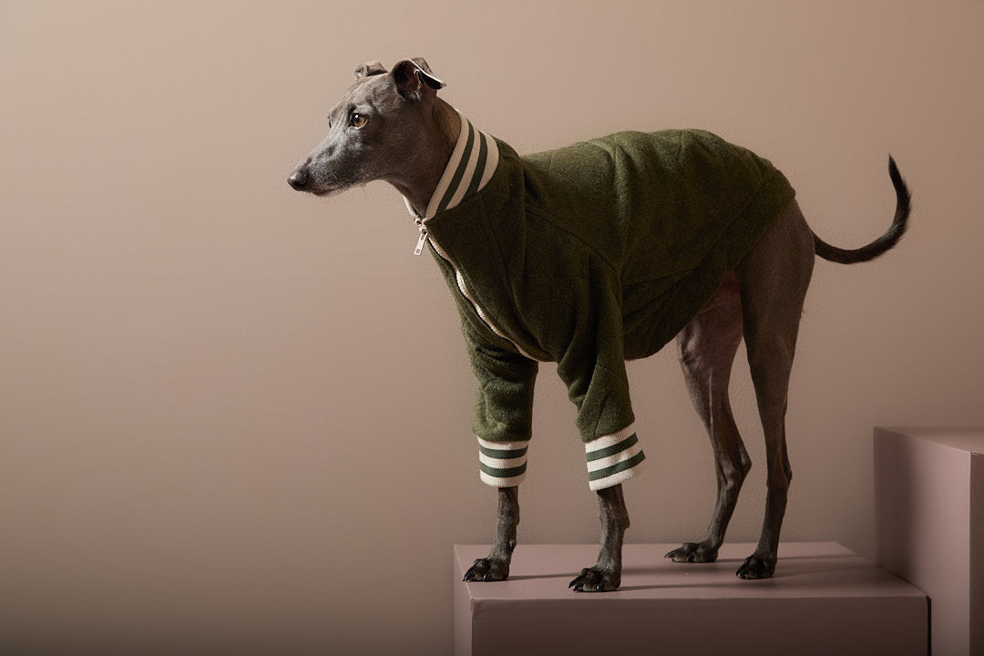Chaqueta Bomber Verde Galgo Italiano / Whippet MOSS