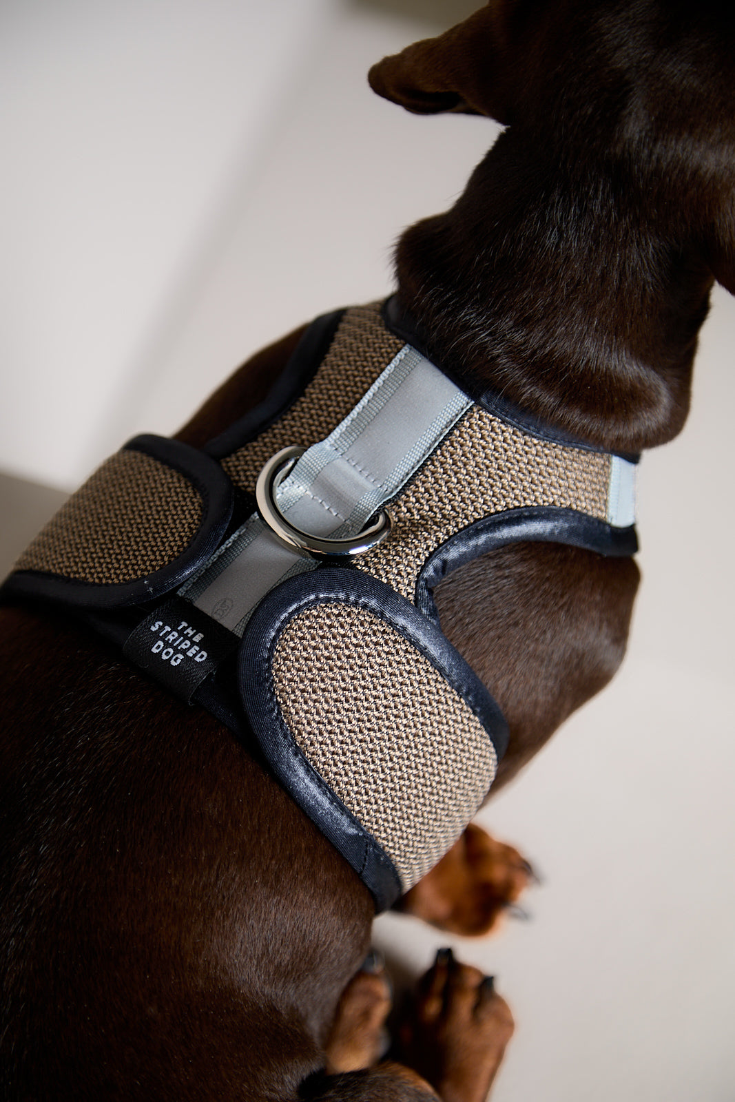 Arnes de Malla Tabaco COBBLESTONE para Perro Salchicha