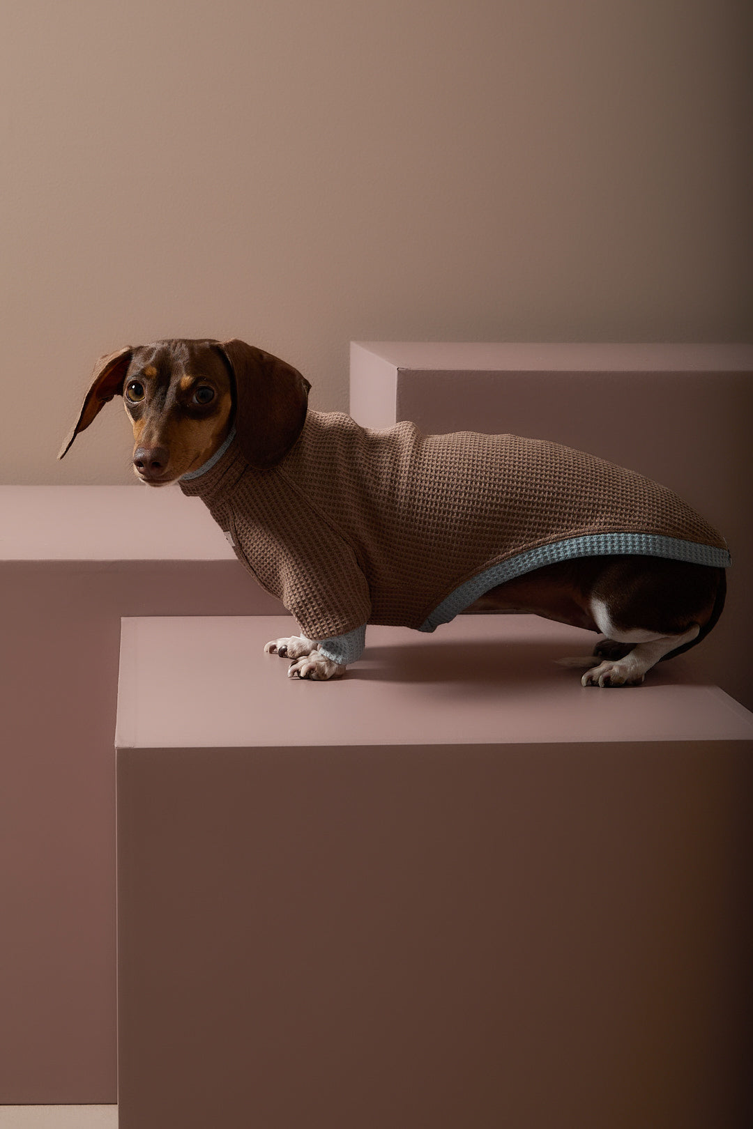 Sueter Waffle Moka GRAIN para Perro Salchicha