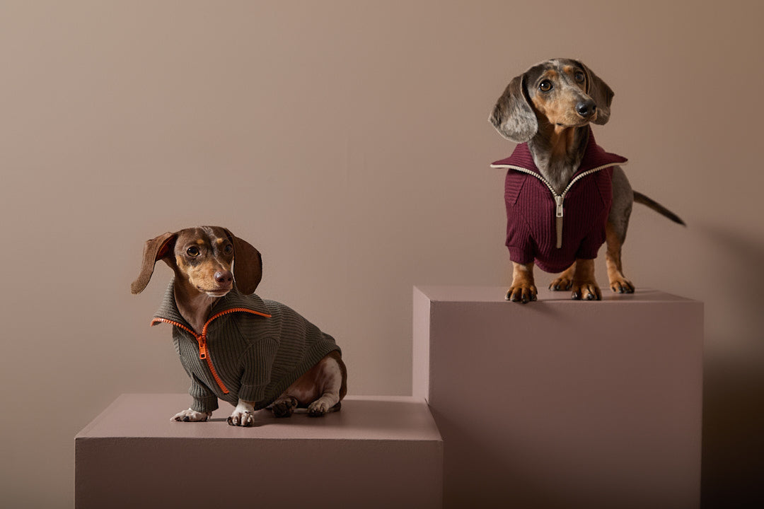 Sueter Vinotinto con Cierre Salchicha KNIT