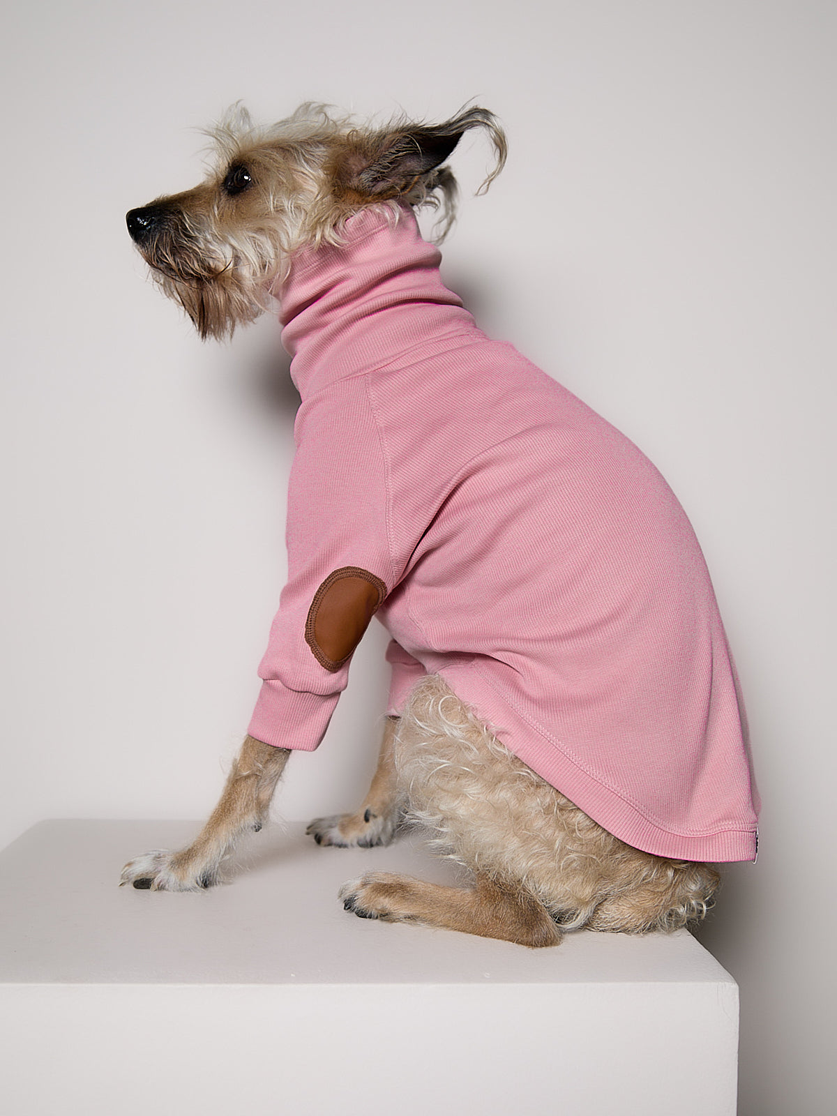 Sueter de Rib Cuello Tortuga Rosado y Parches MIST para Perro Standard
