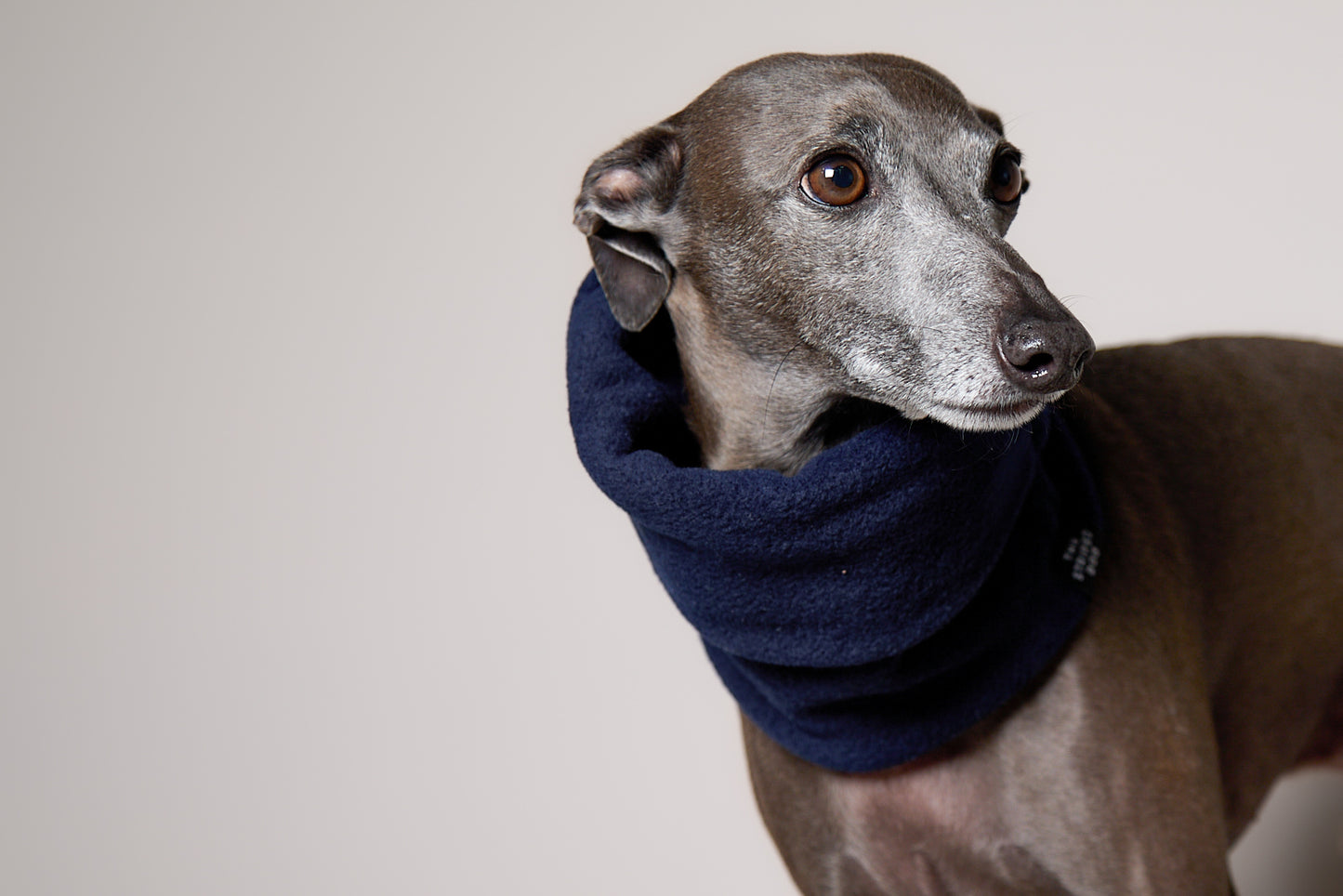 Cuello Azul en Fleece CHILL
