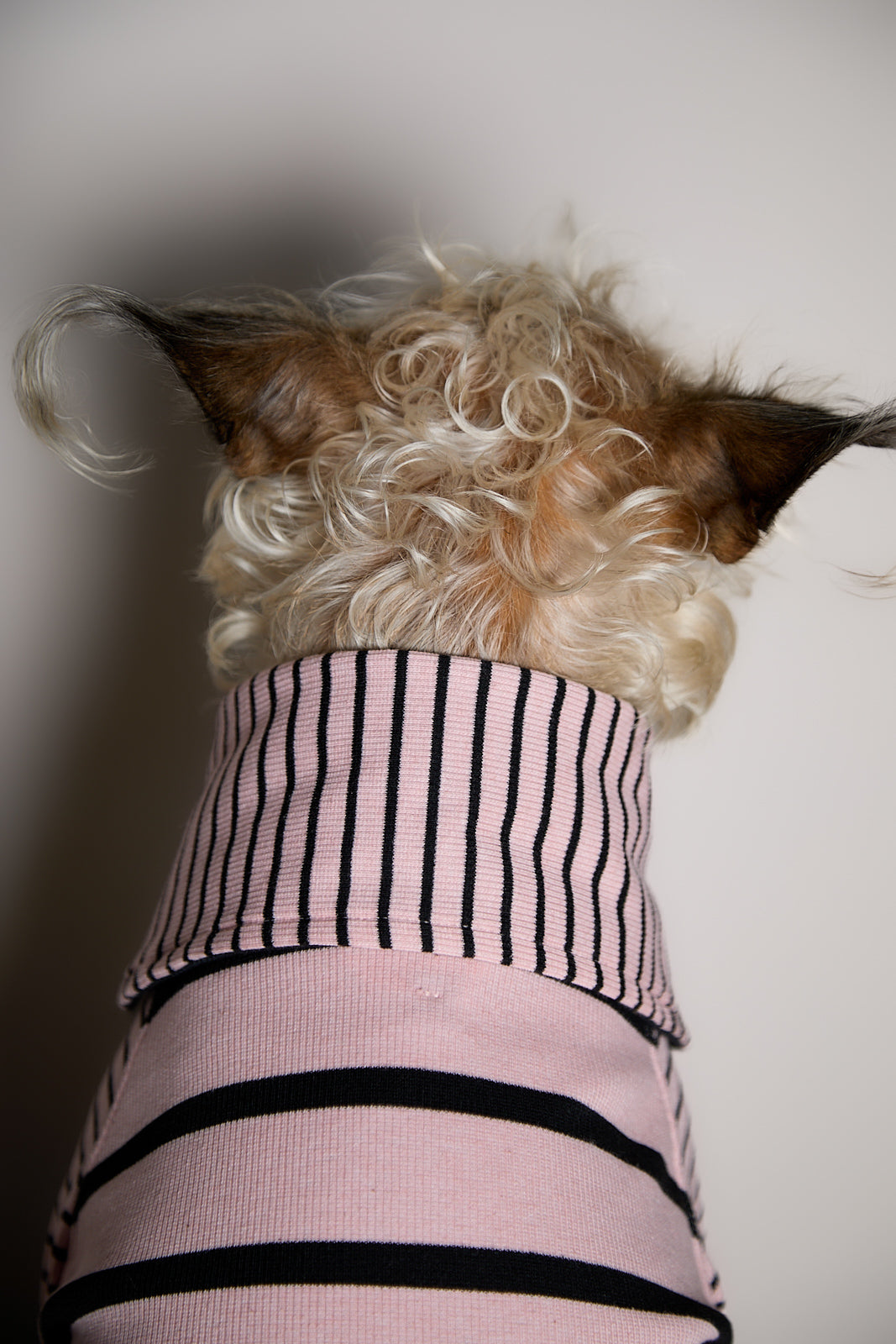 Sueter de Rayas Rosado y Negro LINE para Perro Standard