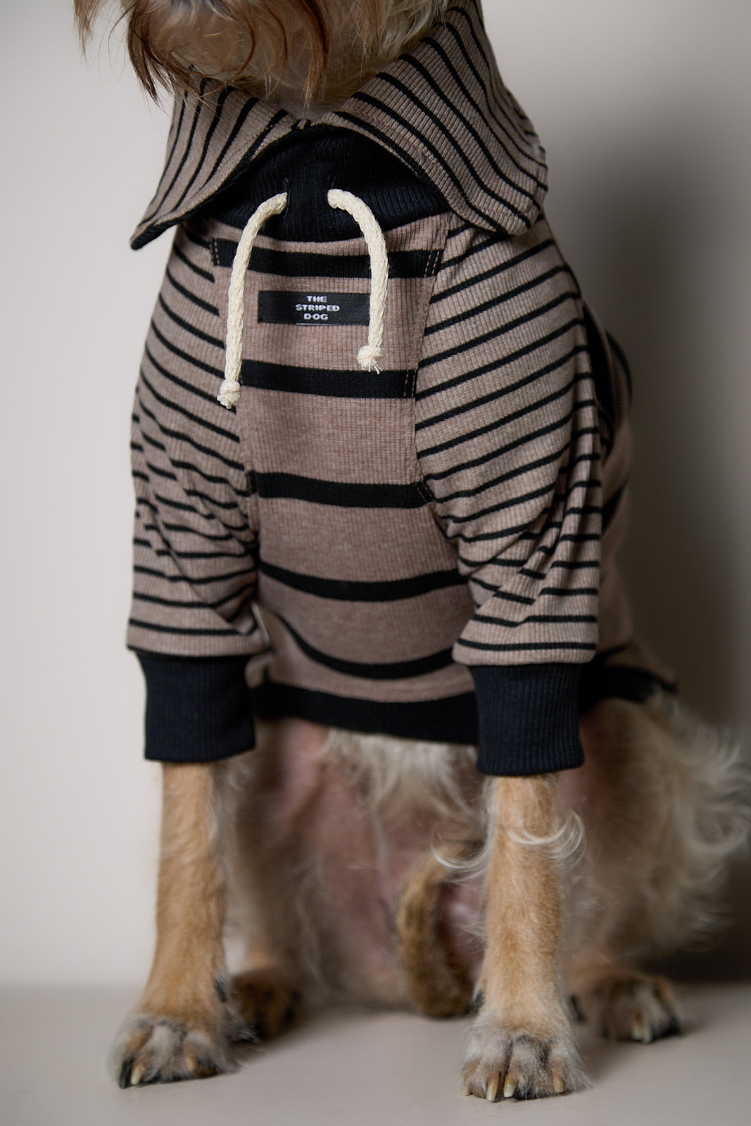 Sueter de Rayas Taupe y Negro LINE para Perro Standard