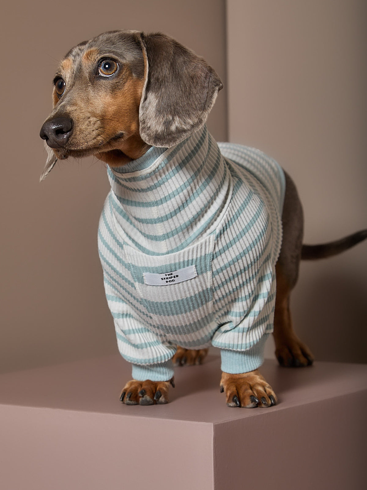 Sueter Rayas Turquesa y Crema Cuello Tortuga Salchicha REED