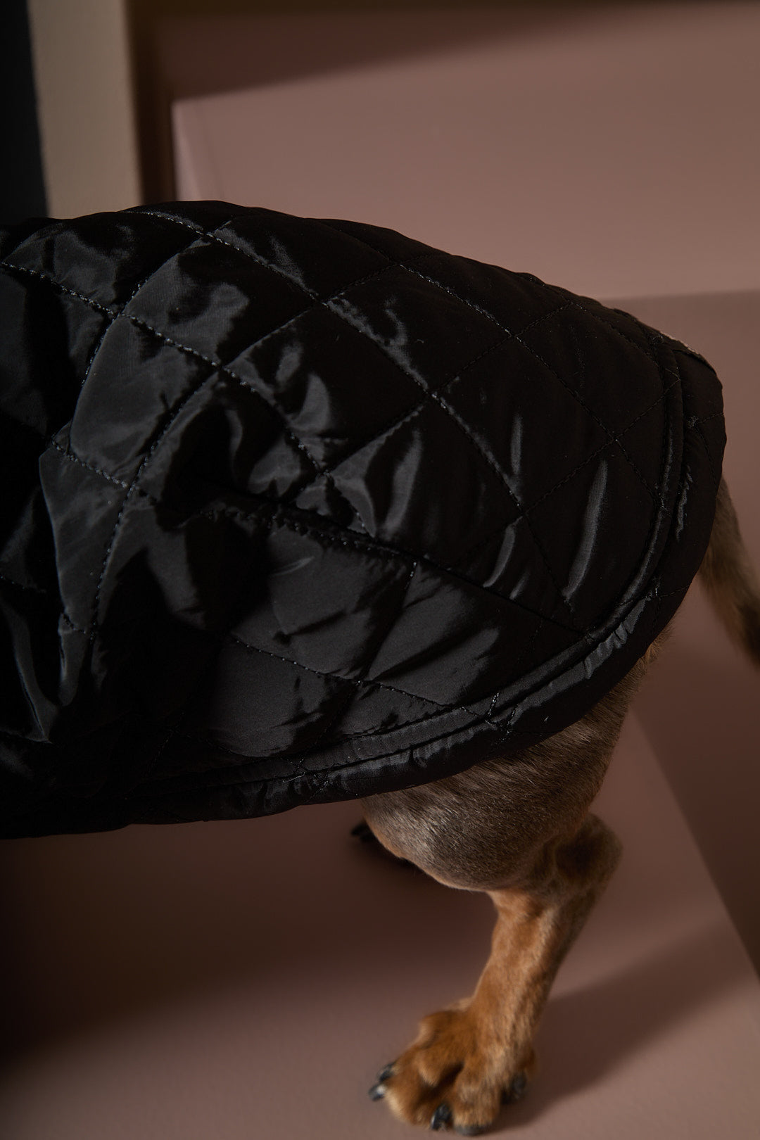 Capa Negra Cuello Tortuga Salchicha HIRO