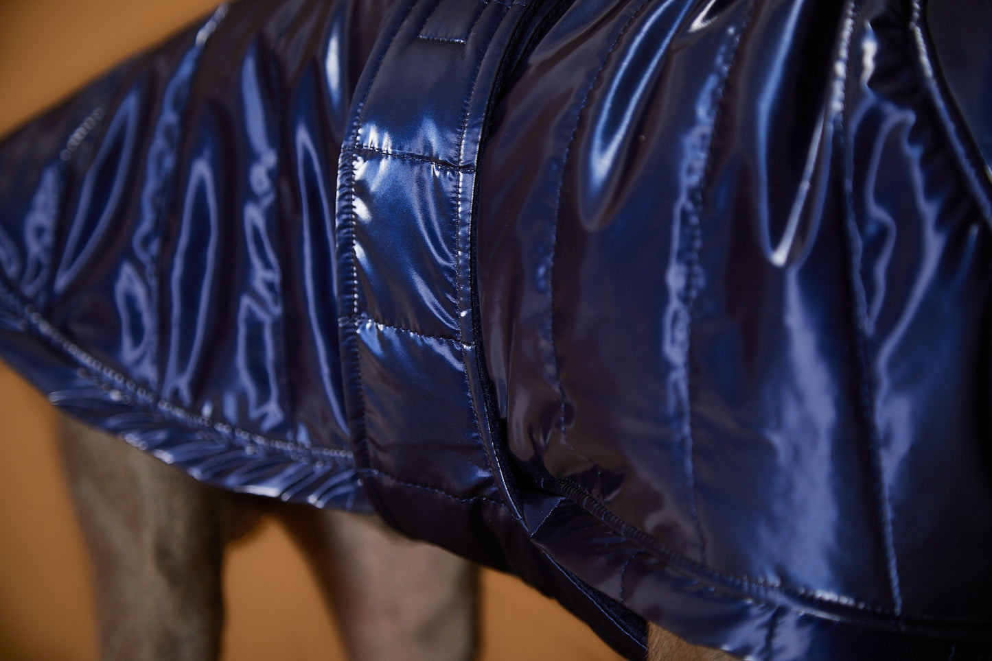 Chaqueta Azul Impermeable Cuello Tortuga Galgo Italiano / Whippet RUE