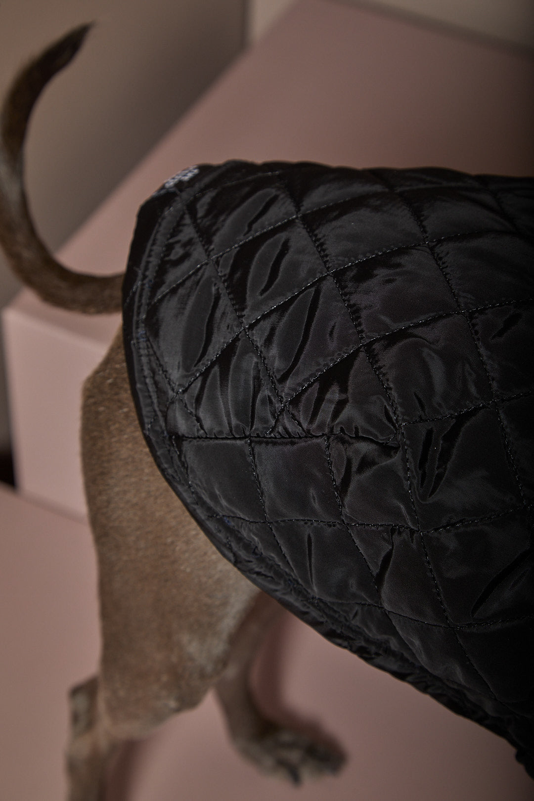 Capa Negra Cuello Tortuga Galgo Italiano / Whippet HIRO