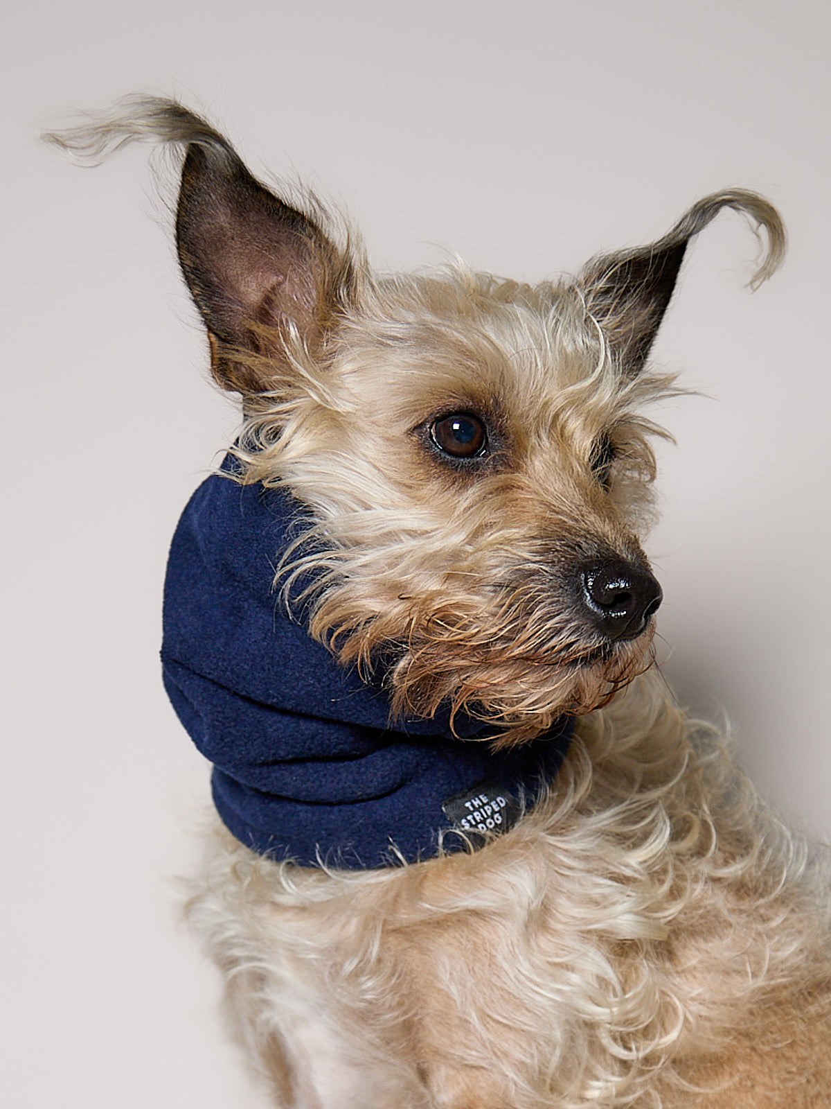 Cuello Azul en Fleece CHILL
