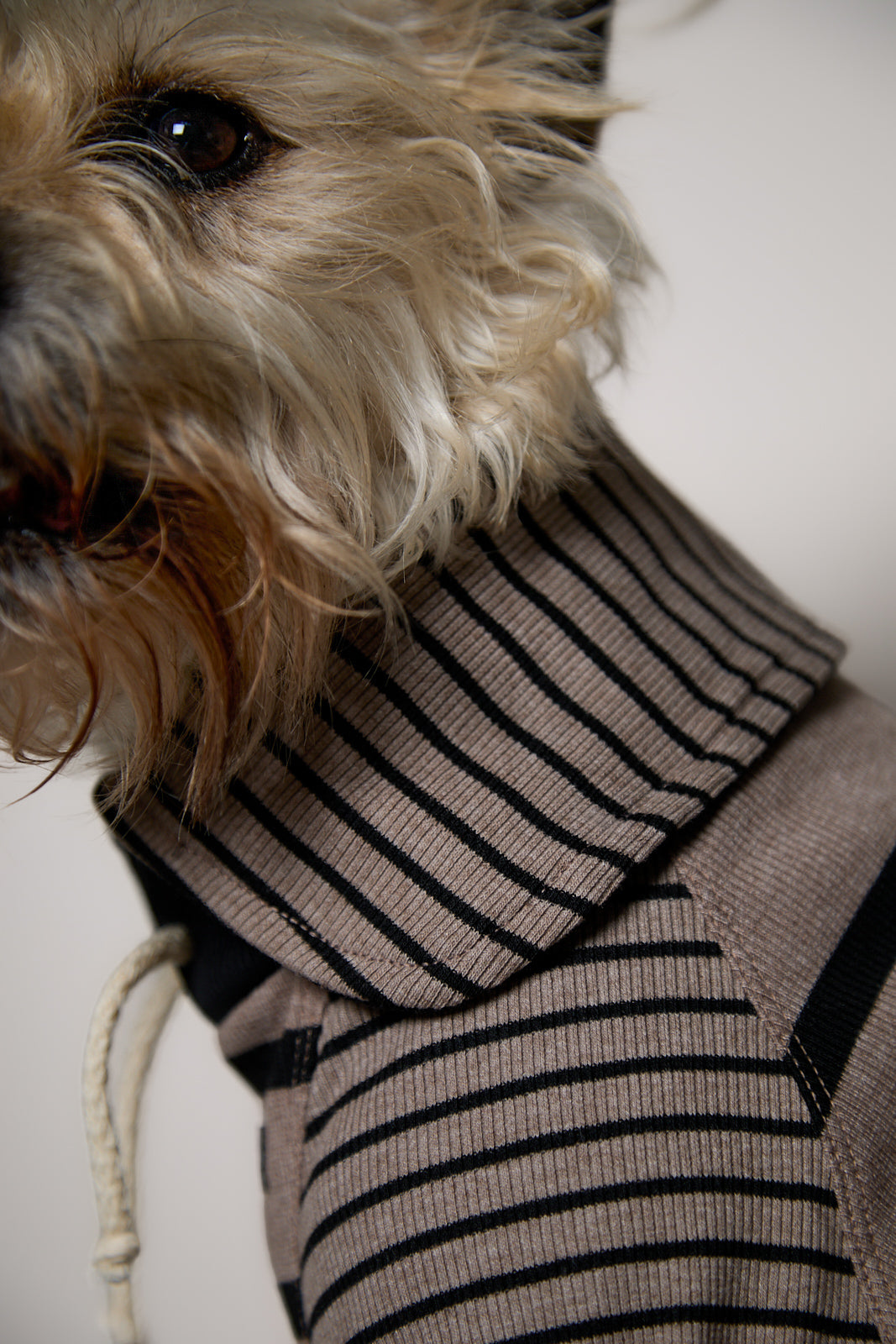 Sueter de Rayas Taupe y Negro LINE para Perro Standard