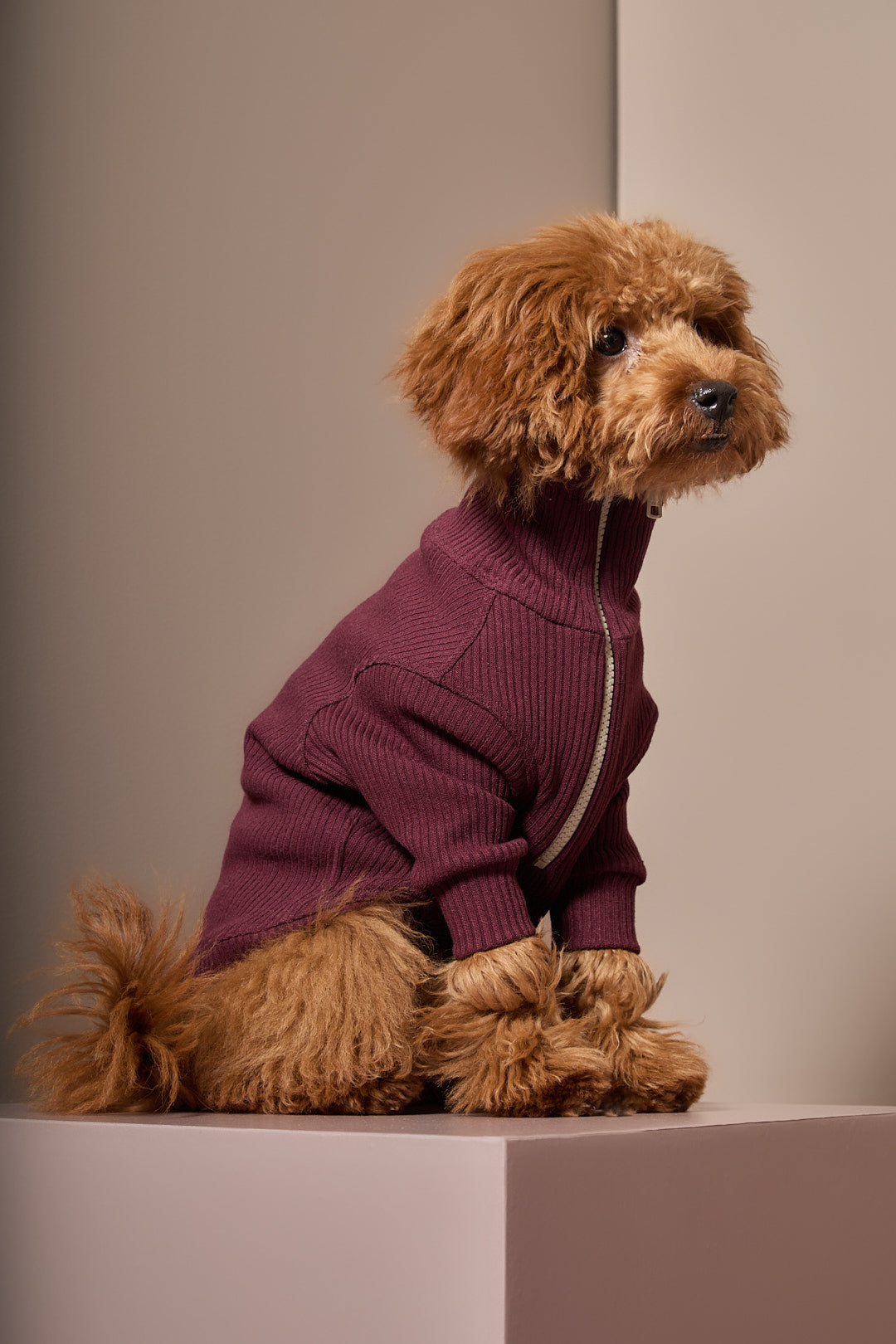 Sueter Vinotinto con Cierre KNIT