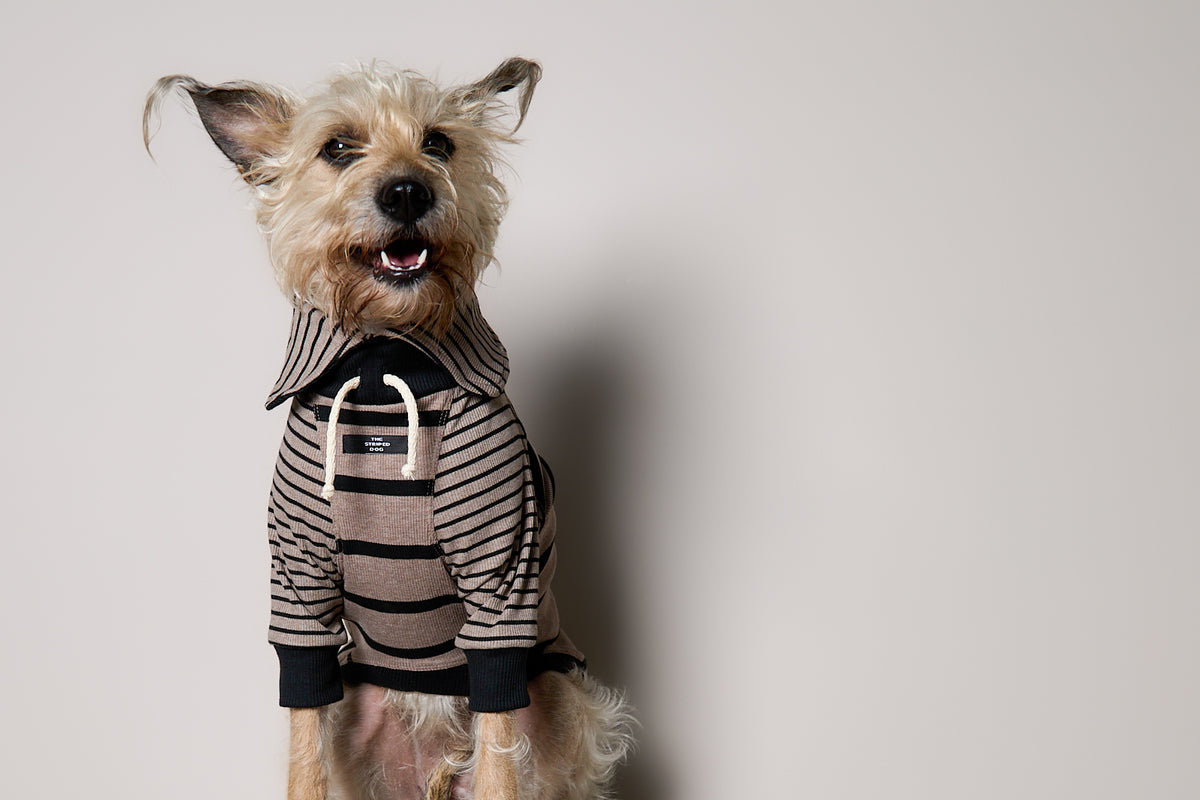 Sueter de Rayas Taupe y Negro LINE para Perro Standard