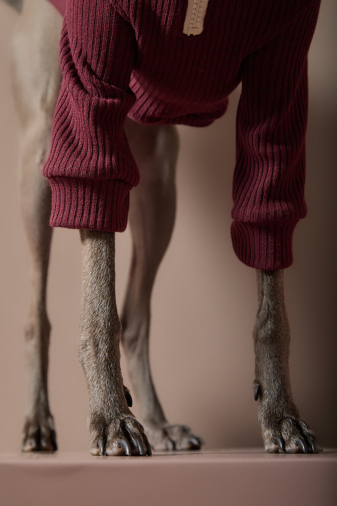 Sueter Vinotinto con Cierre Galgo Italiano / Whippet KNIT