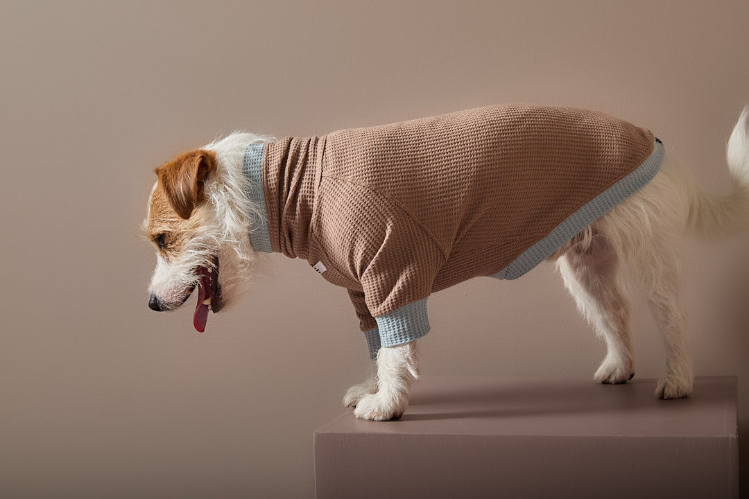 Sueter Waffle Moka GRAIN