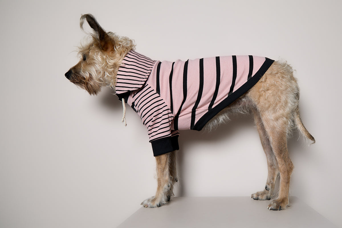 Sueter de Rayas Rosado y Negro LINE para Perro Standard