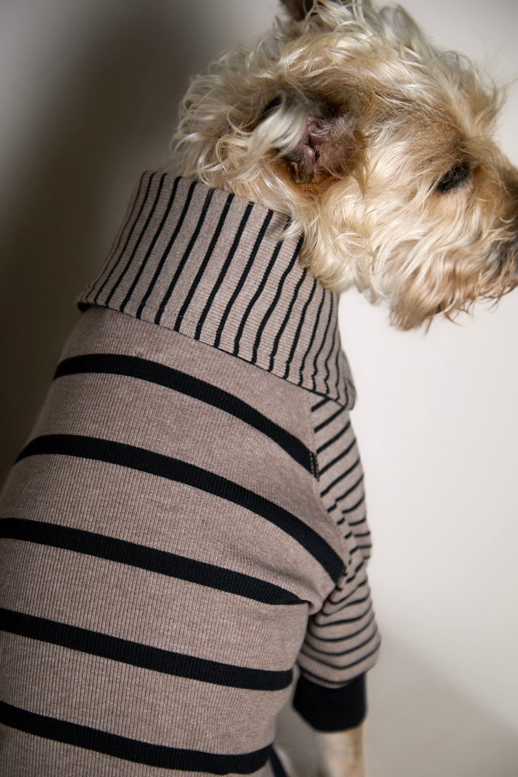 Sueter de Rayas Taupe y Negro LINE para Perro Standard