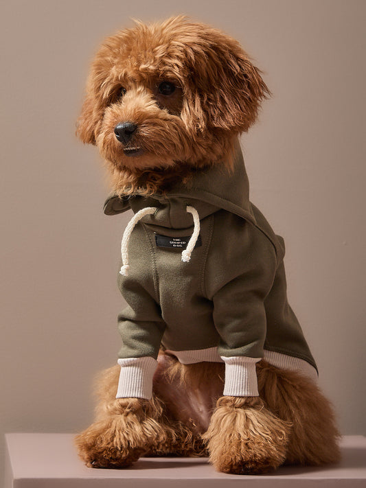 Buzo Verde Cuello Tortuga  STONE