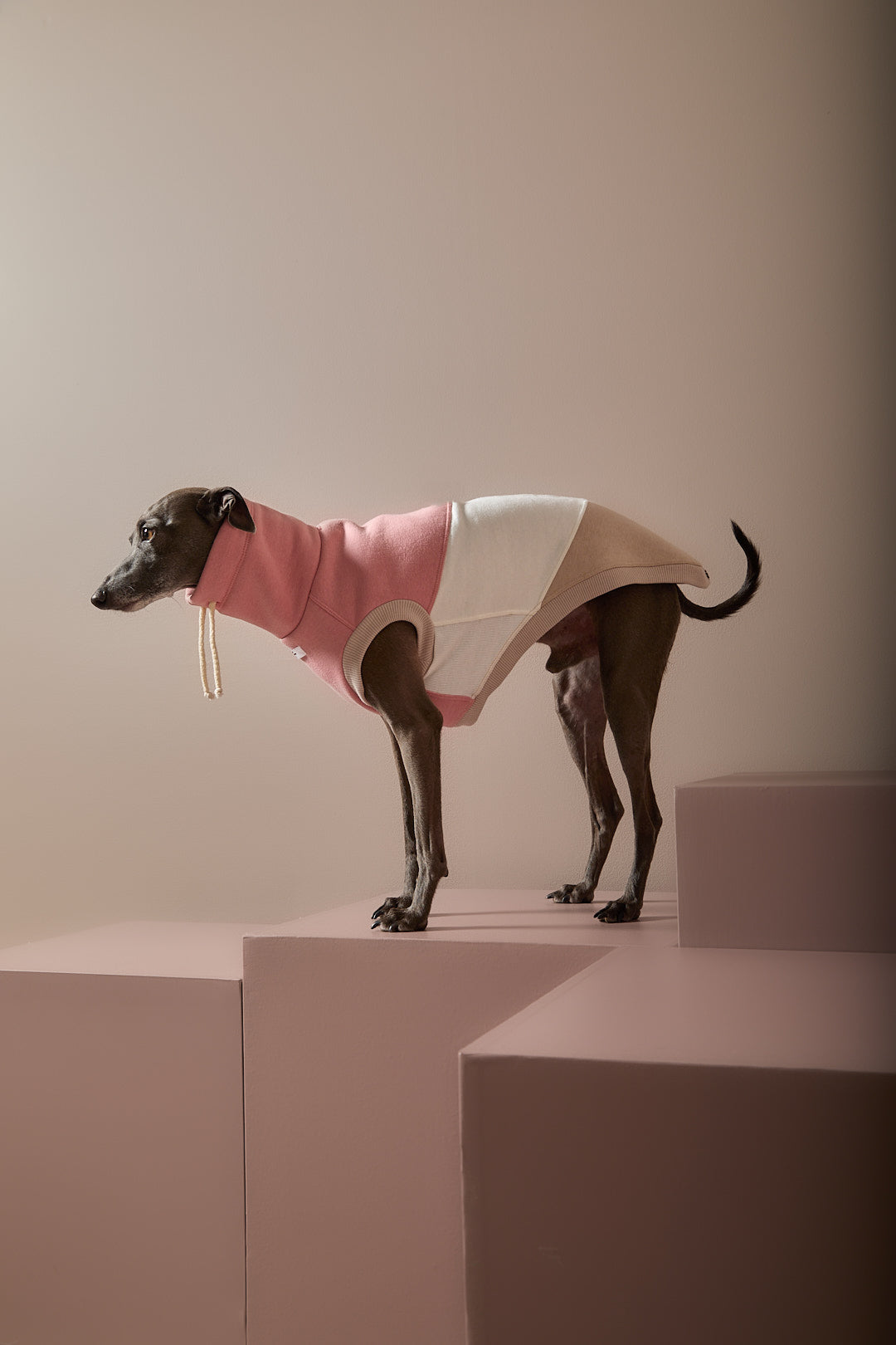 Chaleco Cuello Tortuga Tricolor Galgo Italiano / Whippet SHEAR