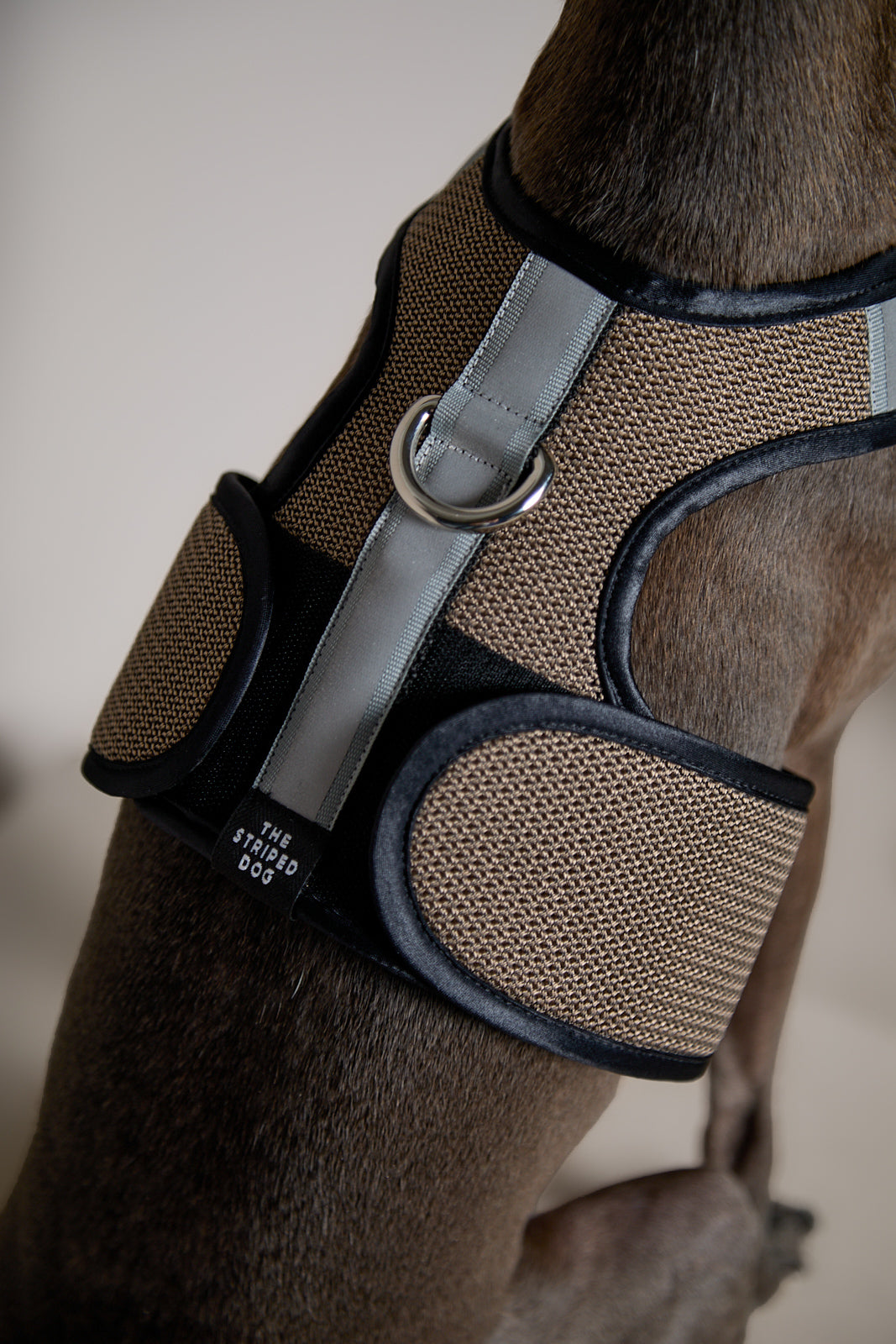 Arnes de Malla Tabaco COBBLESTONE para Galgo Italiano / Whippet