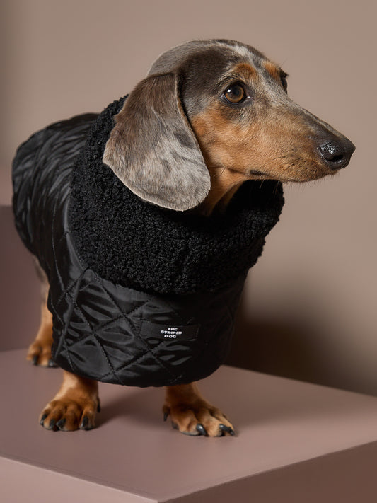 Capa Negra Cuello Tortuga Salchicha HIRO