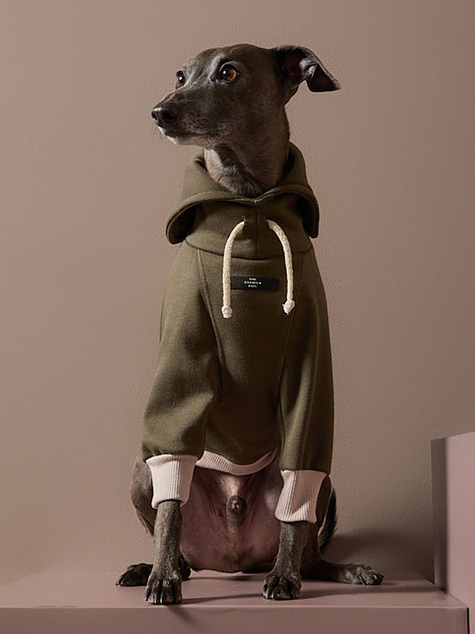 Buzo Verde Cuello Tortuga Galgo Italiano / Whippet STONE