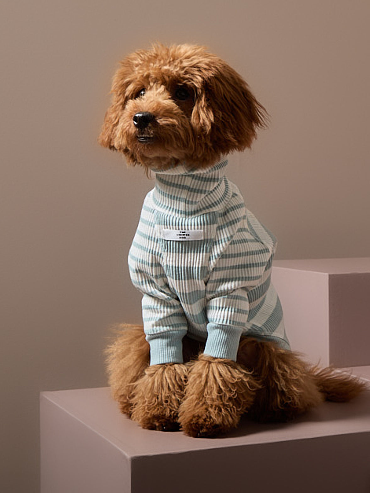 Sueter Rayas Turquesa y Crema Cuello Tortuga REED