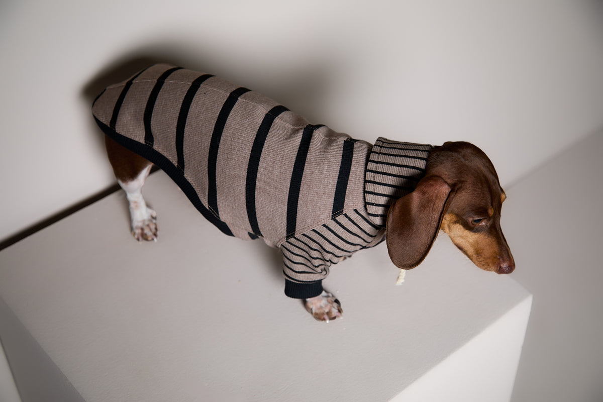 Sueter de Rayas Taupe y Negro LINE para Perro Salchicha