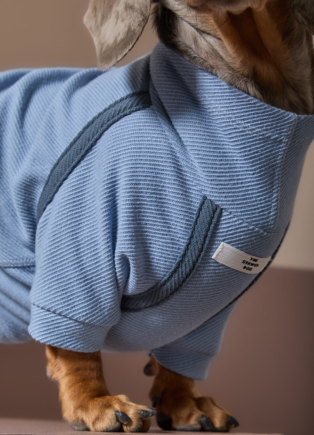 Sueter Azul Claro Cuello Tortuga Salchicha CAIRO