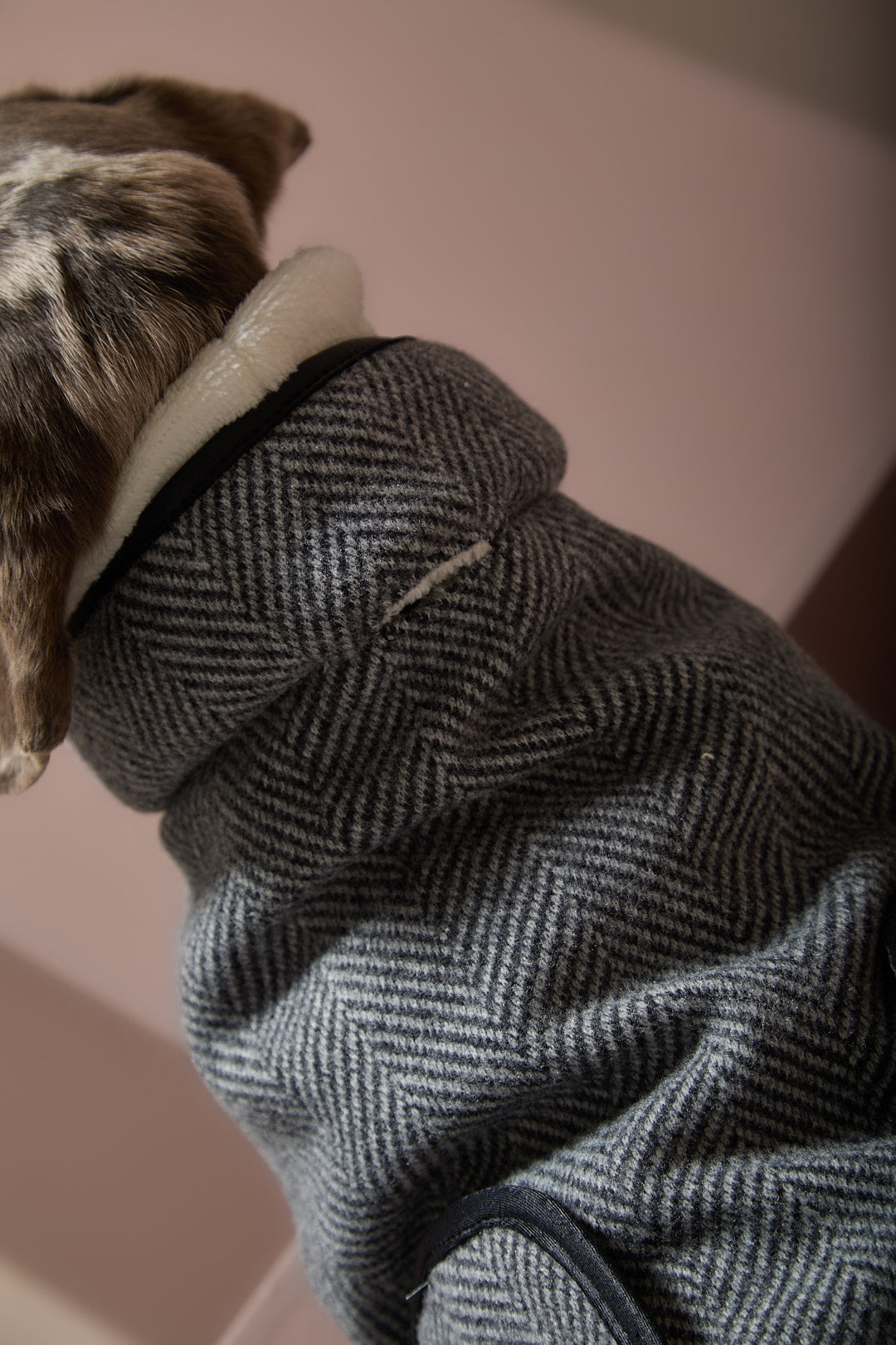 Chaqueta Gris en Espina de Pescado Salchicha TWILL