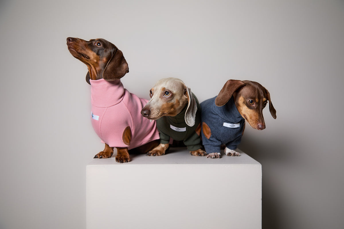 Sueter de Rib Cuello Tortuga Rosado y Parches MIST para Perro Salchicha