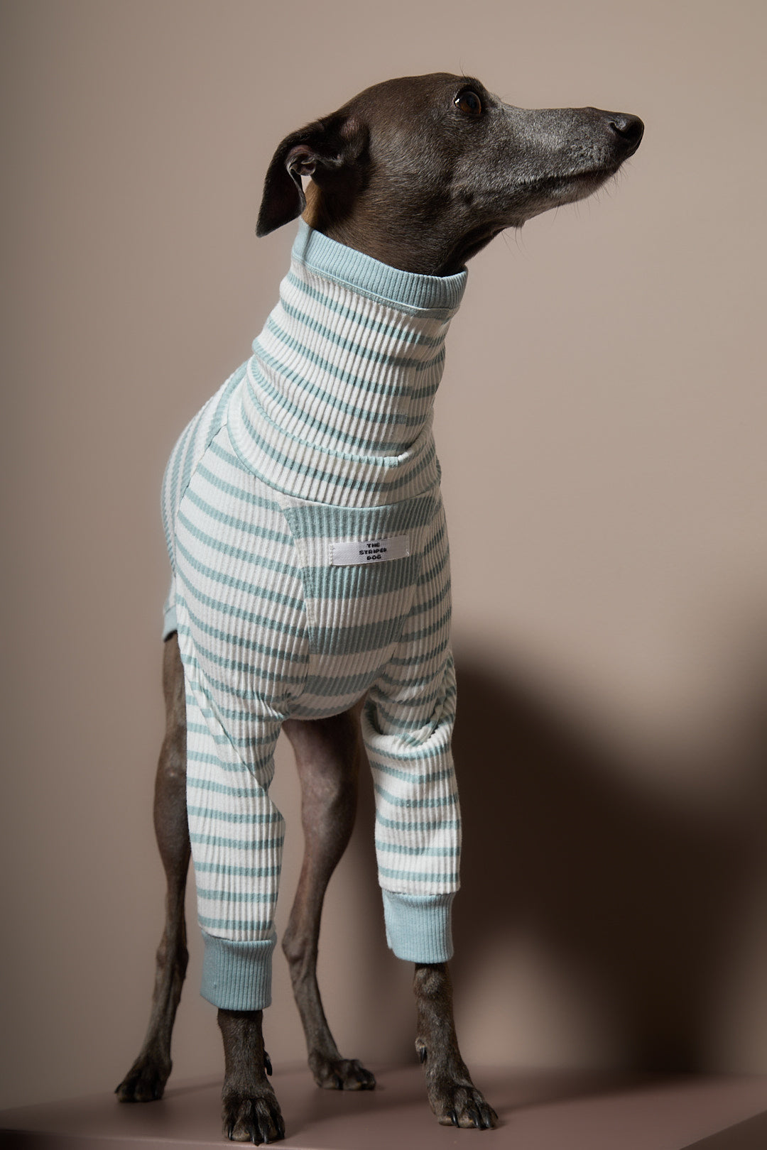 Sueter Rayas Turquesa y Crema Cuello Tortuga Galgo Italiano / Whippet REED